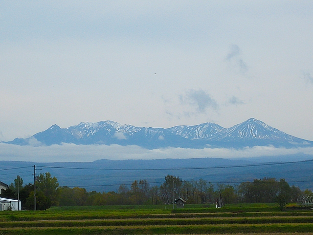 田舎物件は売れる？買うべき？旭川で後悔しないための考え方